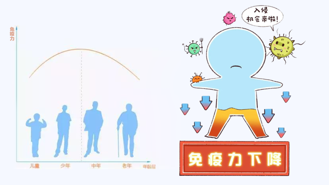 /ueditor/image/20260318/1773798047619188/77de55603d1991e7e3b757ad5823366c.png 222.png